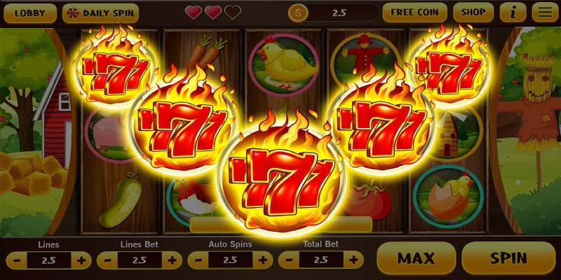 84win
